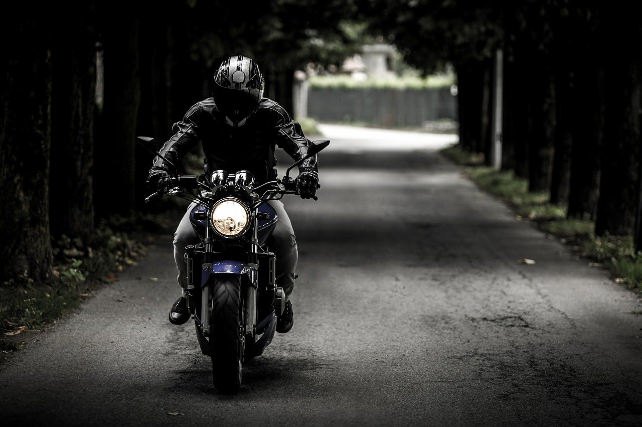 veste biker